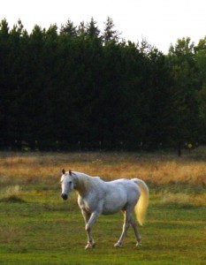 Ransom Se[tember 2012 1