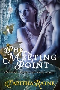 themeetingpoint